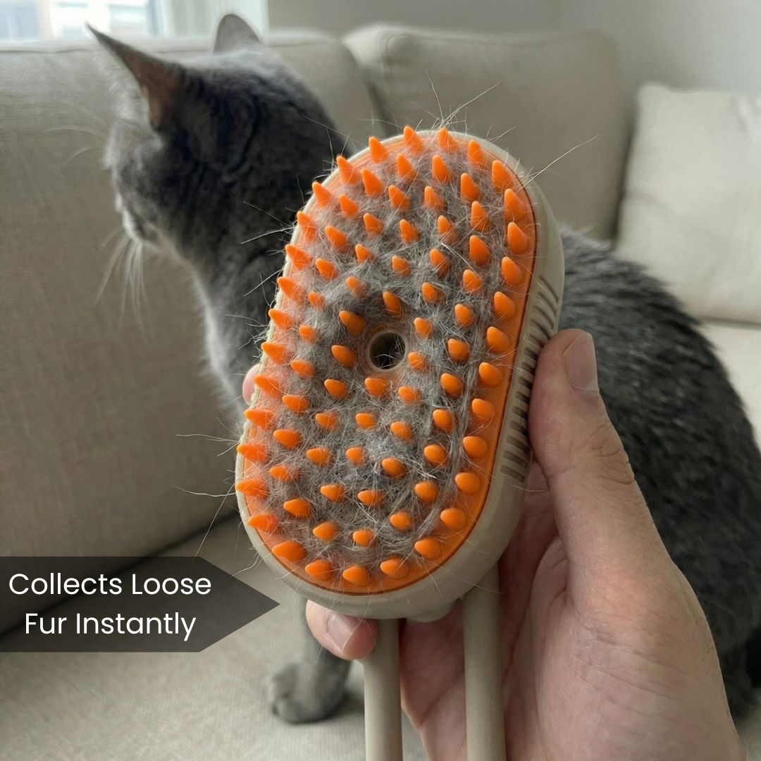 Brosse pour animaux avec vapeur – Récupérez tout les poils
