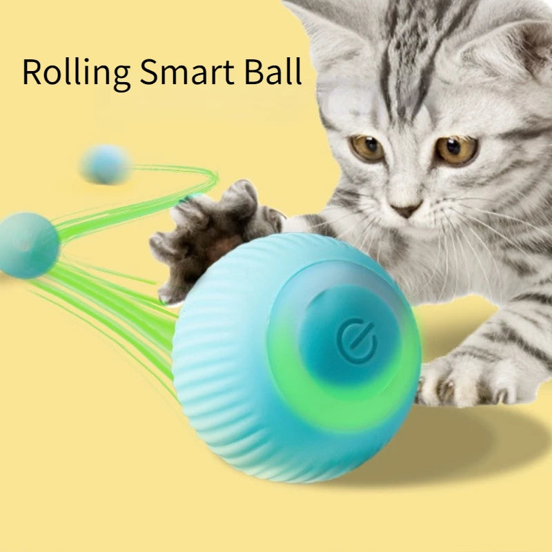 Balle roulante intelligente pour chat