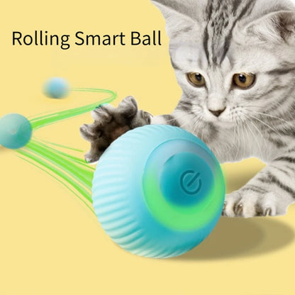 Balle roulante intelligente pour chat