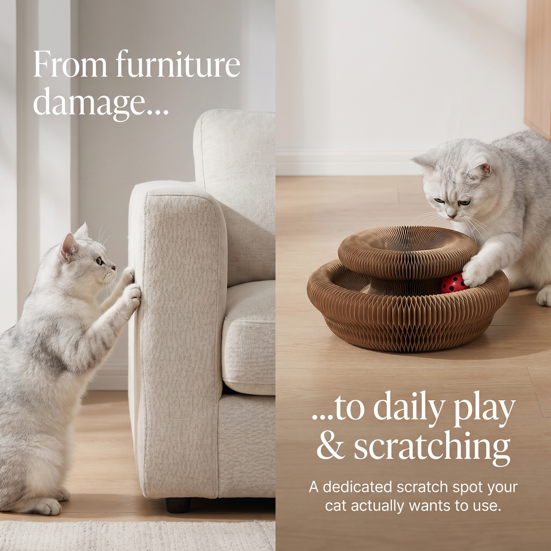 Orbit Board – Griffoir 3-en-1 + Jouet balle + Nid douillet pour chat