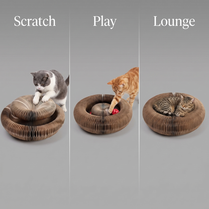 Orbit Board – Griffoir 3-en-1 + Jouet balle + Nid douillet pour chat